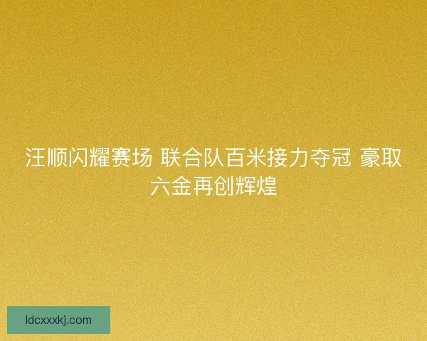 汪顺闪耀赛场 联合队百米接力夺冠 豪取六金再创辉煌